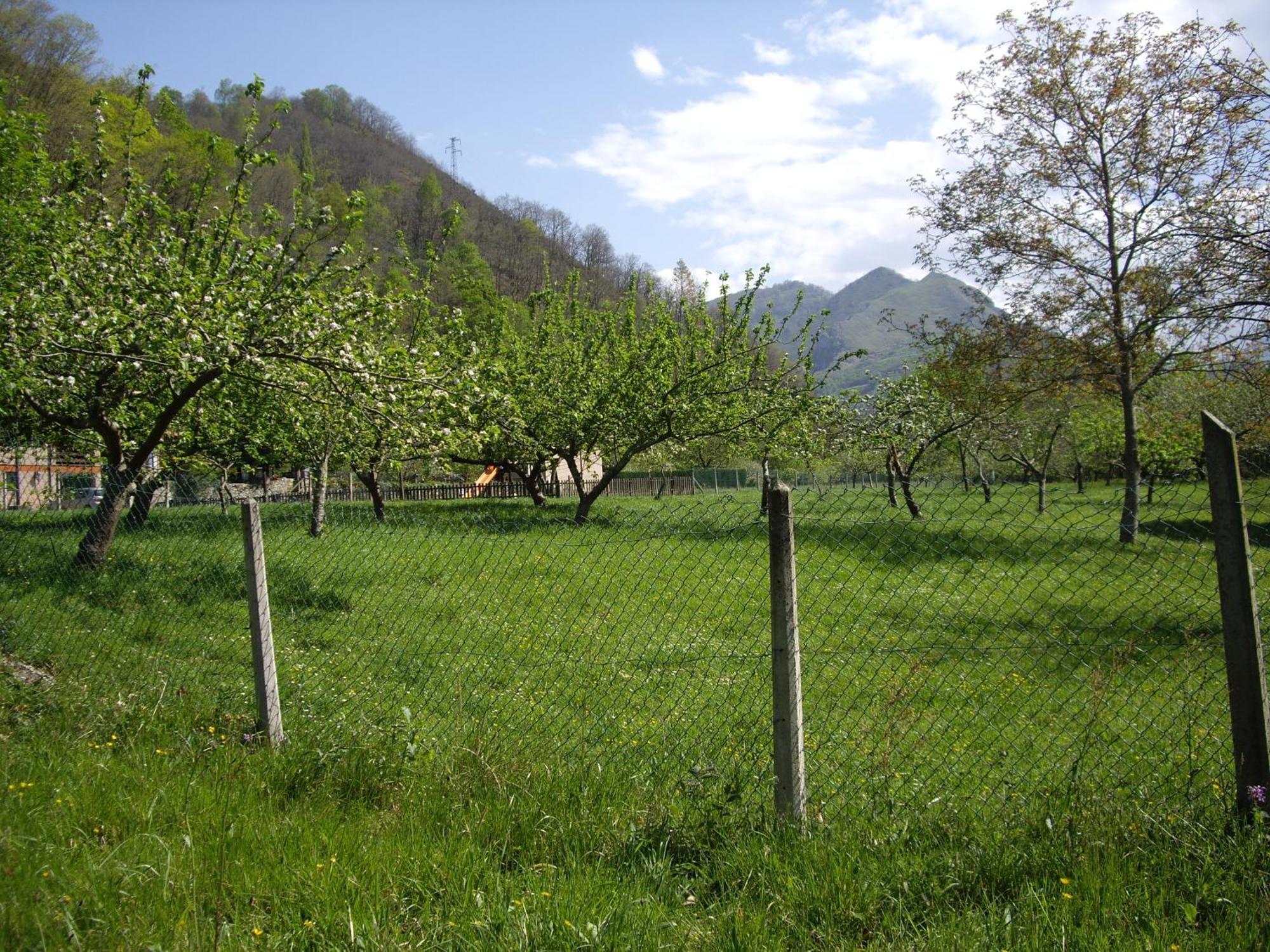 Casa Rural El Canton Onís Esterno foto